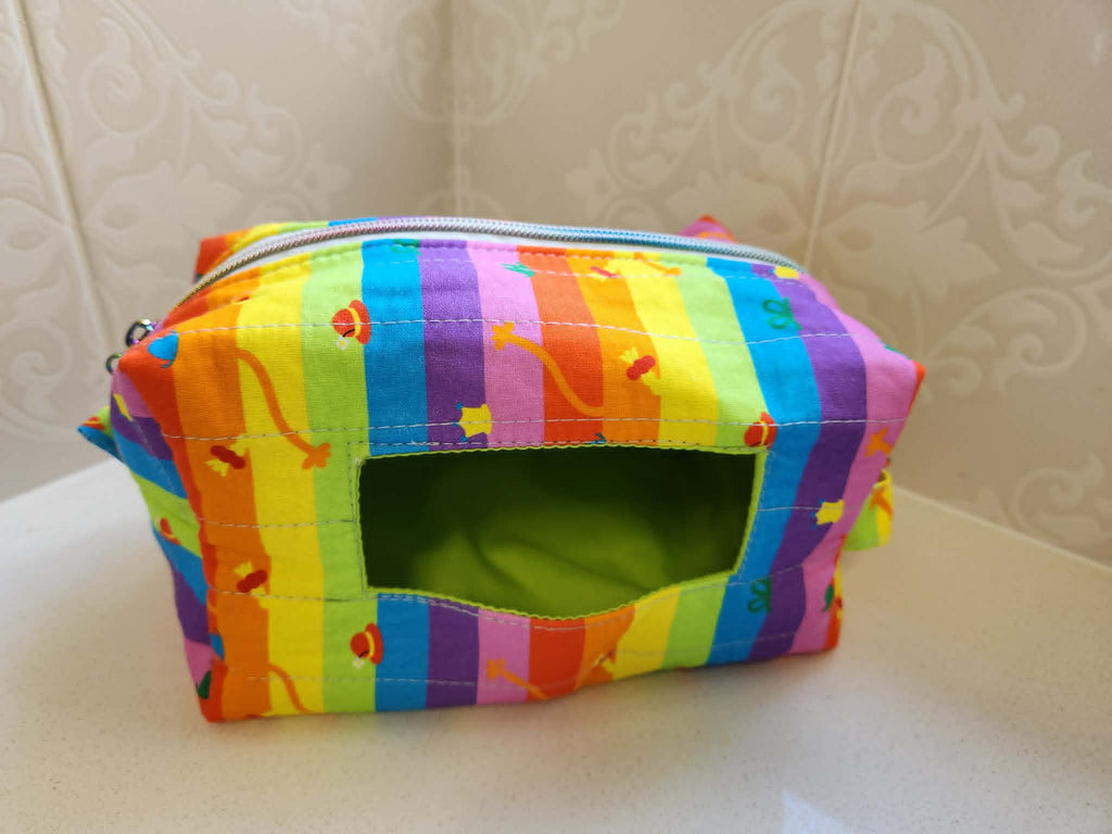 Rainbow Party Stripe Wet wipes Bag